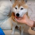 美顔マッサージでお…