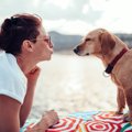 犬が目を細くしてい…