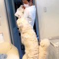 2匹の犬が『生まれた…