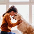 犬が飼い主に『心配…