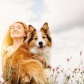 ルンルン♡犬の『機嫌…