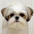 『お風呂中はハウス…