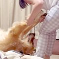 夜、大型犬を散歩に…