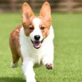 たくさん運動をする…