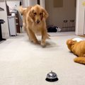 『パパ！見ててね！…