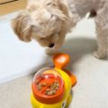 『レバーを押すとご…