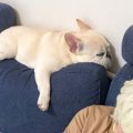 おやつを食べ終わっ…