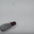 筒に頭を突っ込んで…