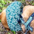 山登り中、突然倒れ…