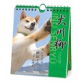 ページをめくる楽し…