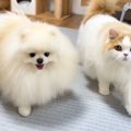 夜0時、普段は違う場…