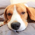 悪化する前に気づい…