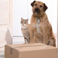 配達中にカシャッ！…