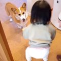 犬が好きすぎる『最…