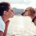 『犬の眼を見つめて…