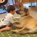 男の子を警戒してい…