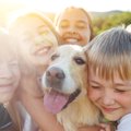 愛犬を惹き付ける『…