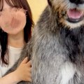 『本当に子犬…？』ま…