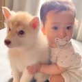 赤ちゃんが『生まれ…