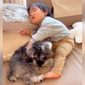 小さな男の子が『遊…