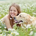 犬が幸せを表現して…