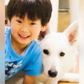 『男の子と大型犬の…