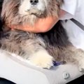 車の助手席に乗って…