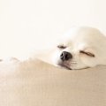 そっとしておこう！…