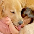 1歳の女の子が『定期…