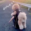 歩くのに疲れて『お…