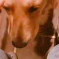 辛くて涙が止まらな…