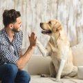 『犬が大好きな人』…