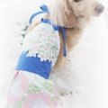 犬服の型紙紹介から…
