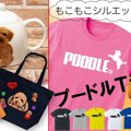 持ってるだけで女子…