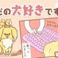 ただの犬好きです。…