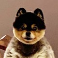 家に帰ったら石造の…