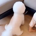 ソファにつかまり立…
