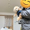 「観念しまちた」お…