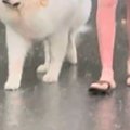 台風のため、パパが…