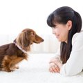 犬が『飼い主をじー…
