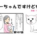 ちーちゃんですけど…