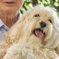 『おじいちゃんの犬…