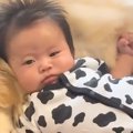 赤ちゃんが大型犬と…