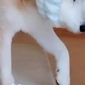 18歳のおじいちゃん…