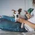 犬の飼い主がSNSを活…
