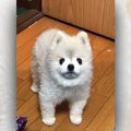 在宅勤務って何？撫…