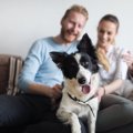 『犬は飼い主に似る…
