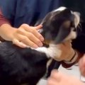 小さなころから病院…