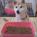 餌箱全開で「よし！…