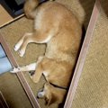 冷暖房もない『ビル…